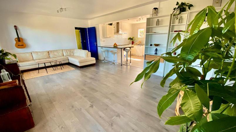 Hotel Sewa Surf House 10Min De Capbreton Hossegor Bénesse-Maremne Zewnętrze zdjęcie