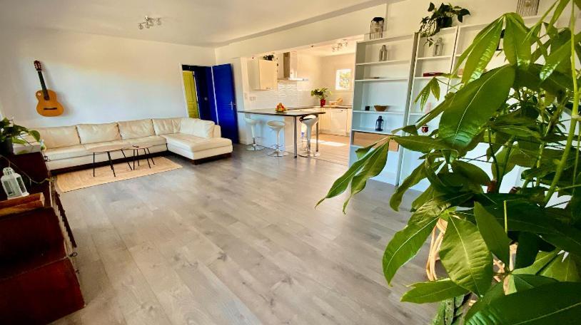 Hotel Sewa Surf House 10Min De Capbreton Hossegor Bénesse-Maremne Zewnętrze zdjęcie