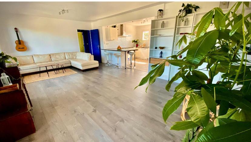 Hotel Sewa Surf House 10Min De Capbreton Hossegor Bénesse-Maremne Zewnętrze zdjęcie
